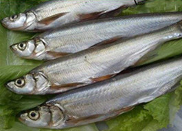 技術(shù)人員持證上崗，項(xiàng)目不轉(zhuǎn)包